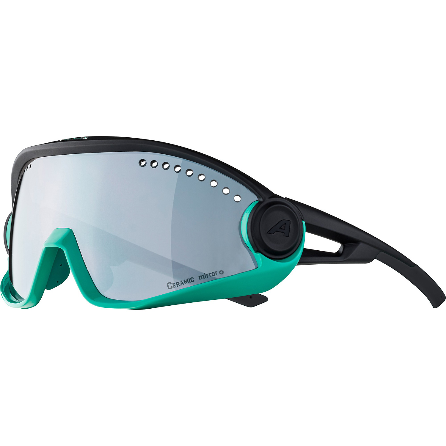 Unisex Alpina Sports Schwarz 5W1NG 371 - Brille