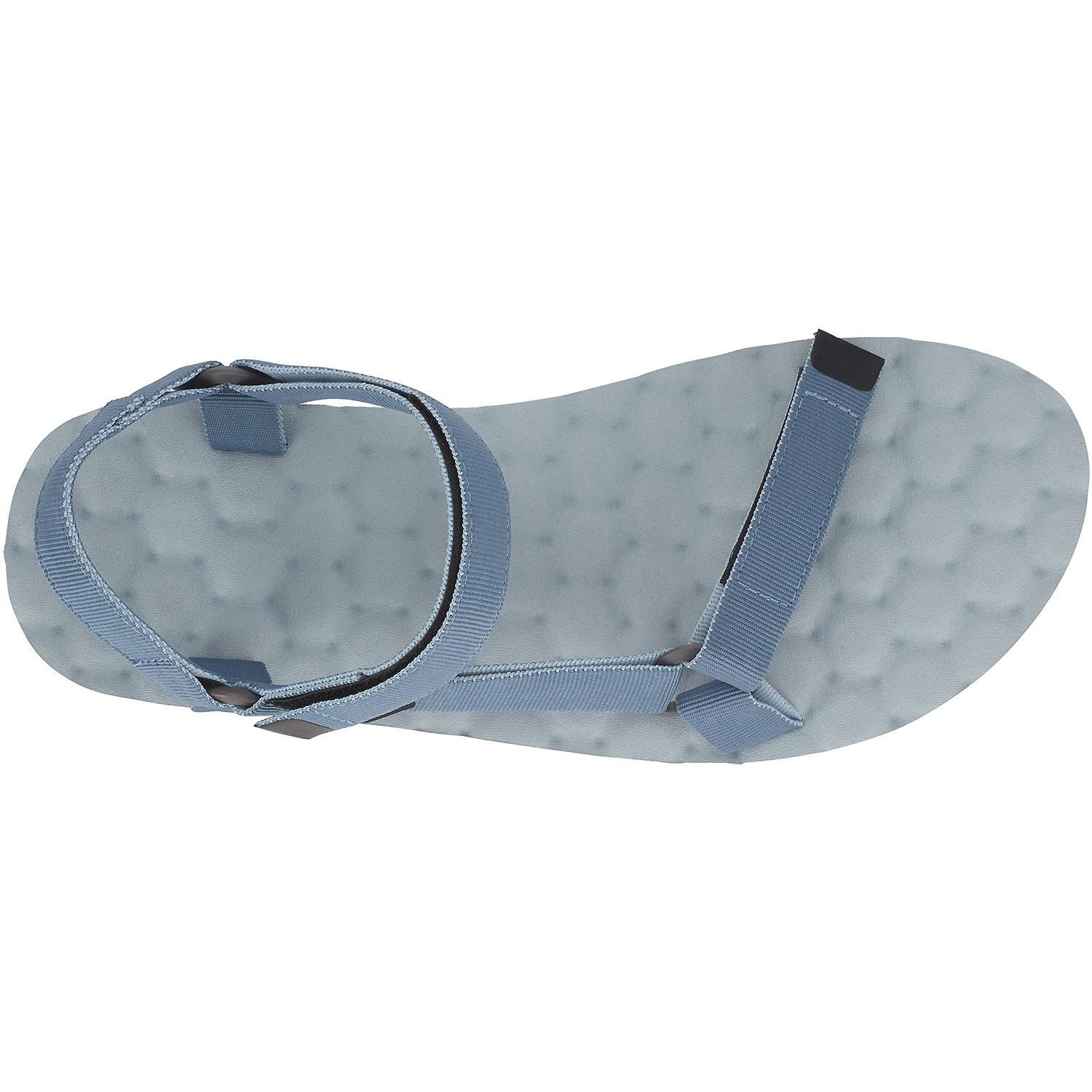 Unisex Lizard Blau