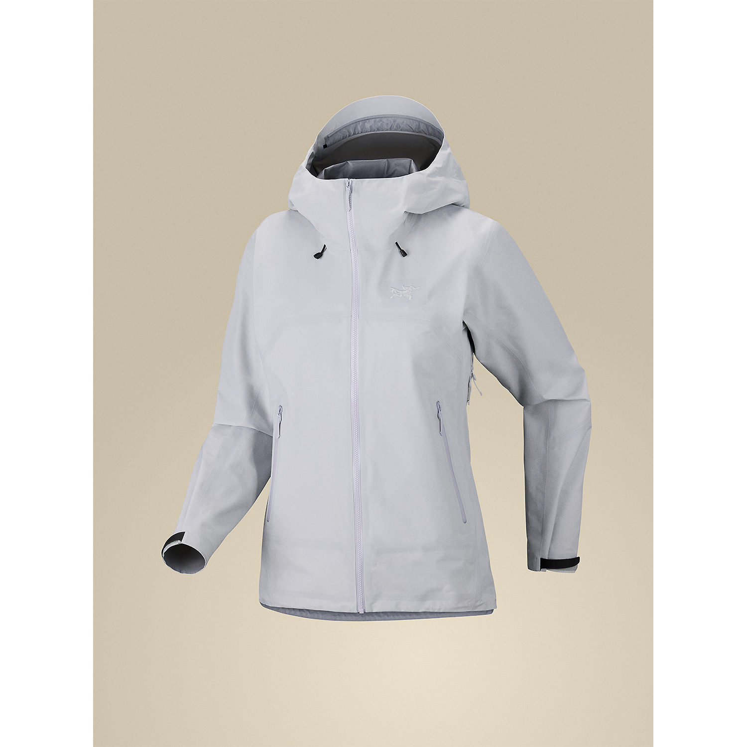 Damen Arcteryx Grau