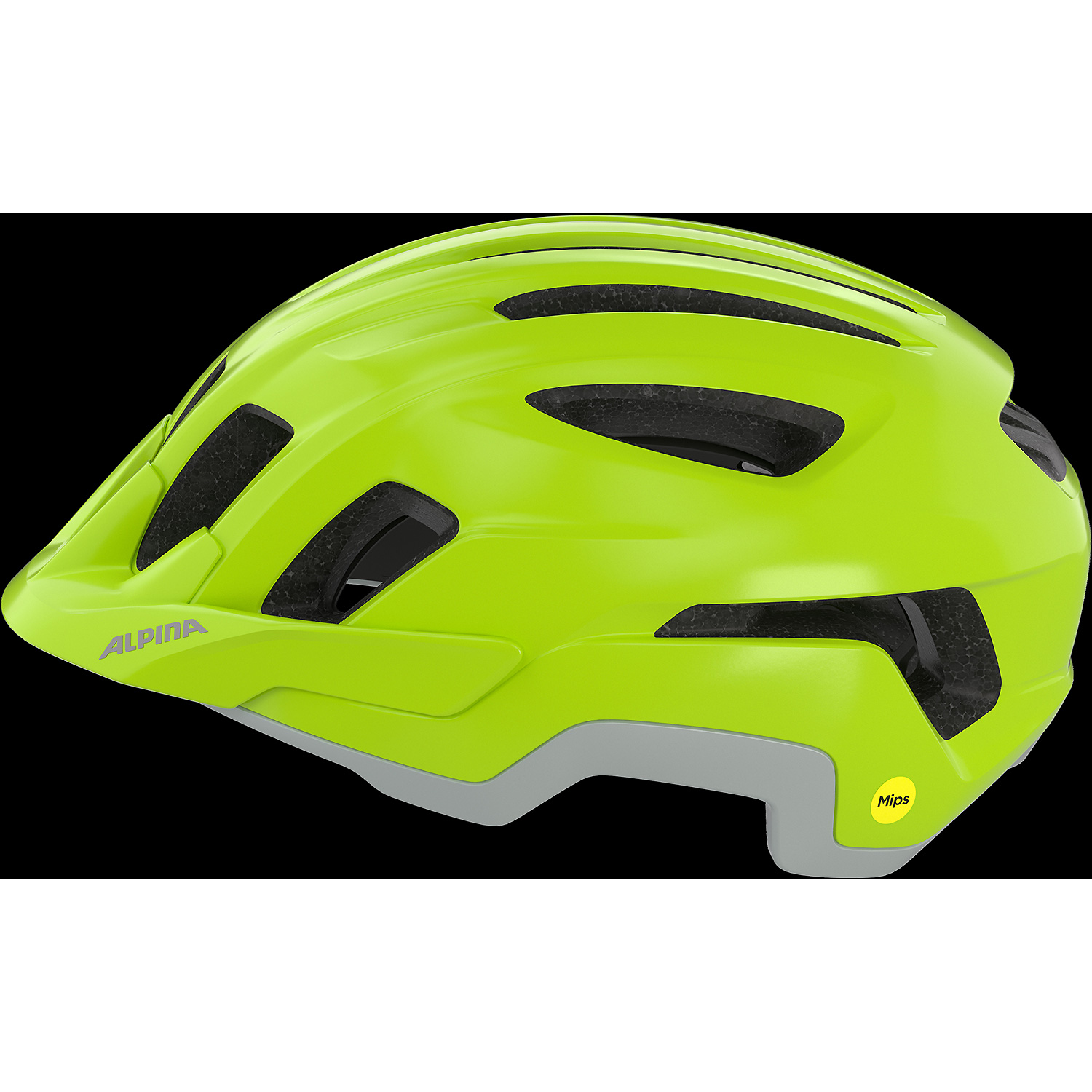 Unisex Alpina Sports Grau PARANUS MIPS 46 55-59 Helm