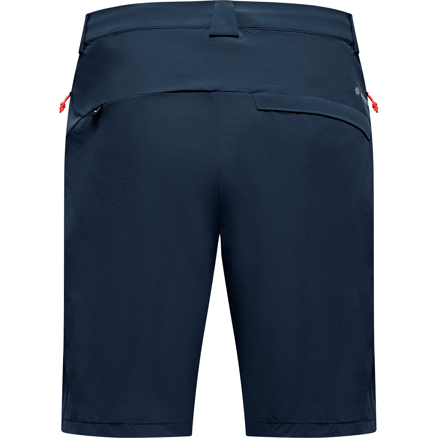 Herren Salewa Beere