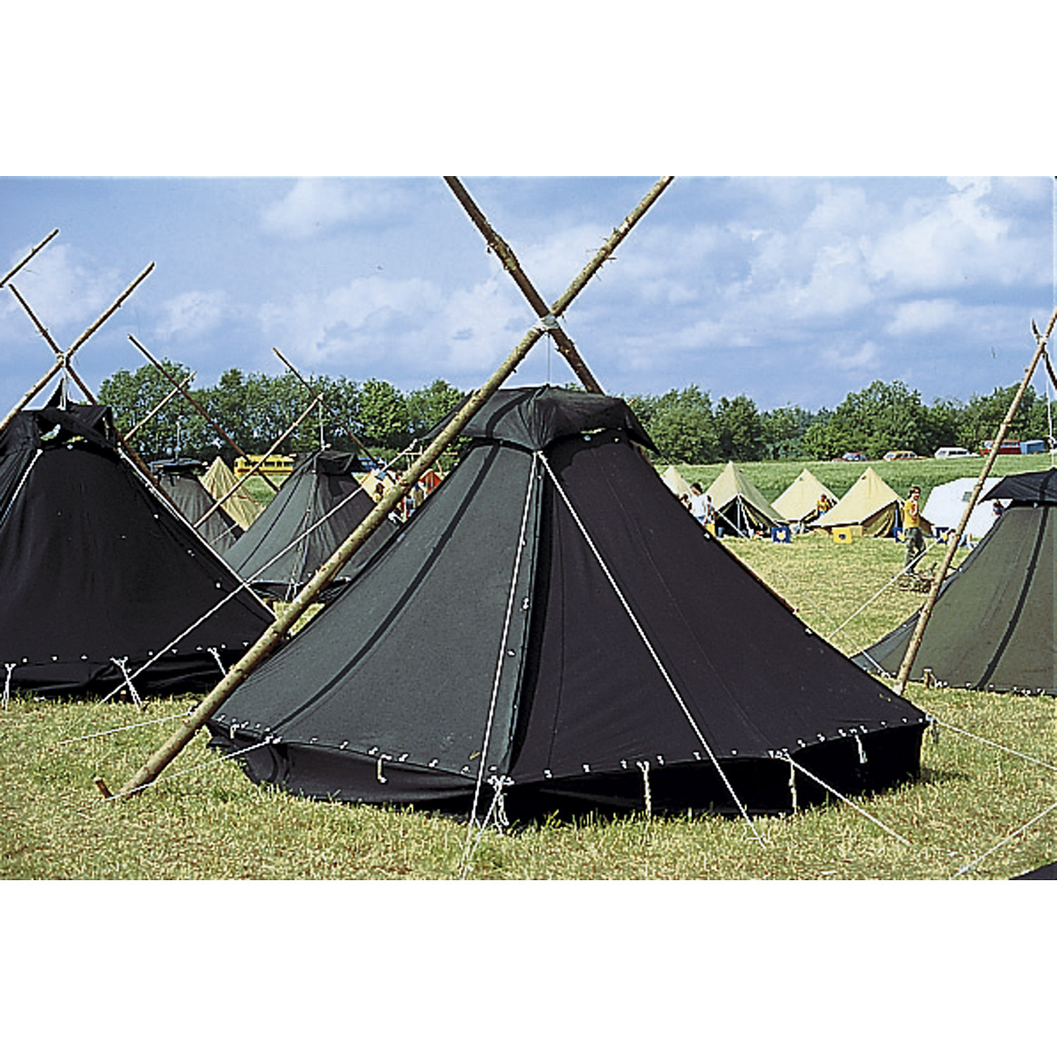 Unisex Tortuga wie abgebildet