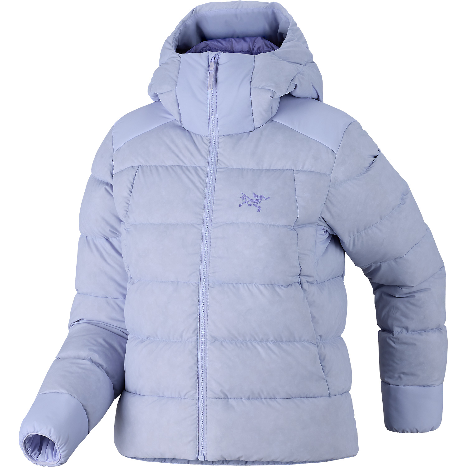 Damen Arcteryx Braun
