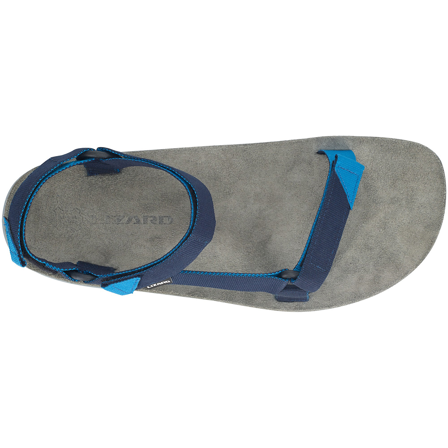 Herren Lizard Blau