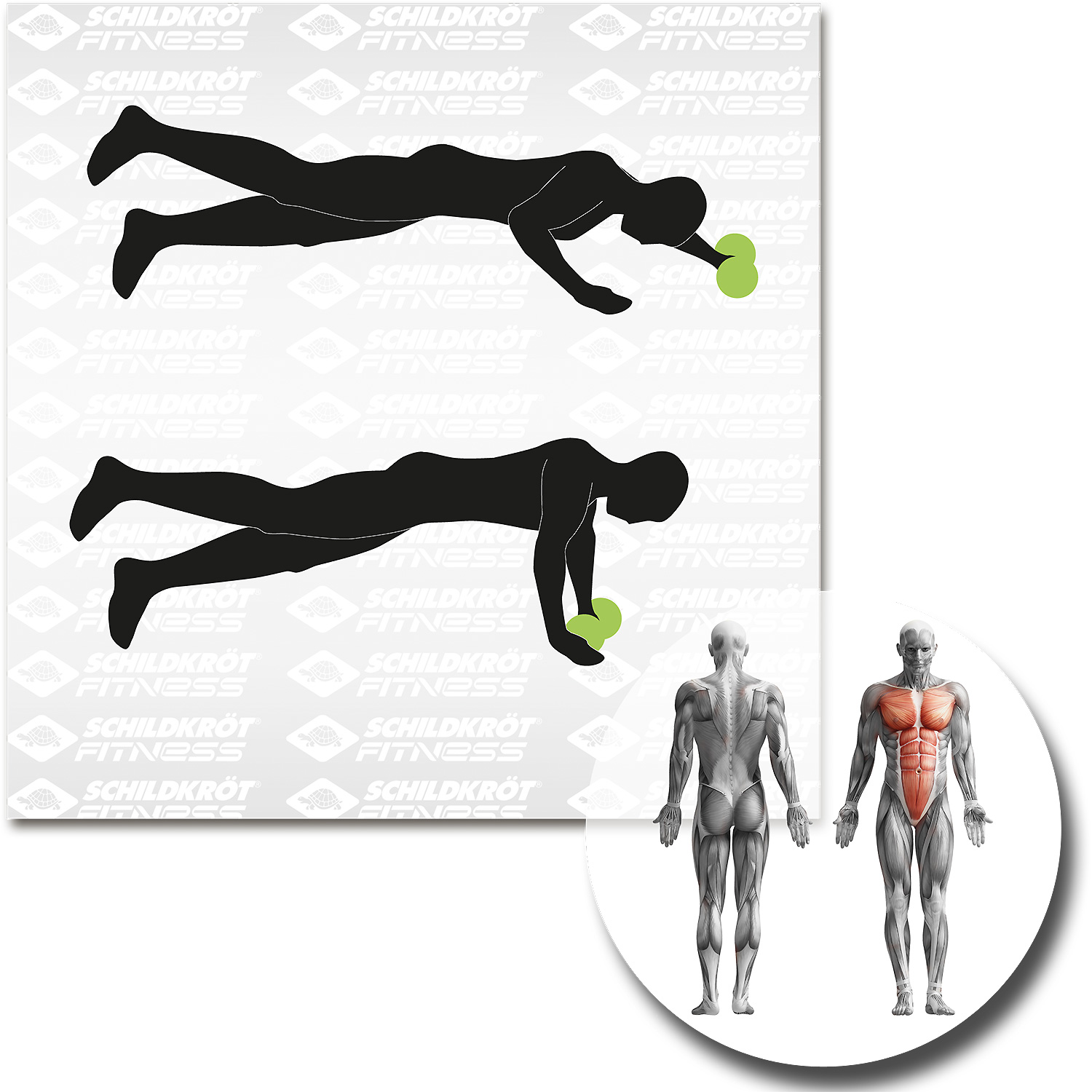 Unisex Schildkröt FITNESS wie abgebildet DUAL-CORE-WHEELS - 2er Set, kugelgelagert 000 - Fitnessgerät