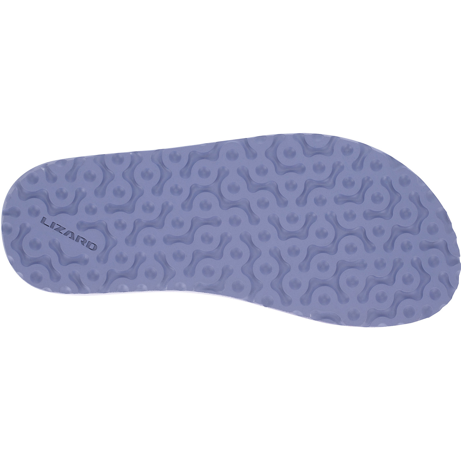 Unisex Lizard Royalblau