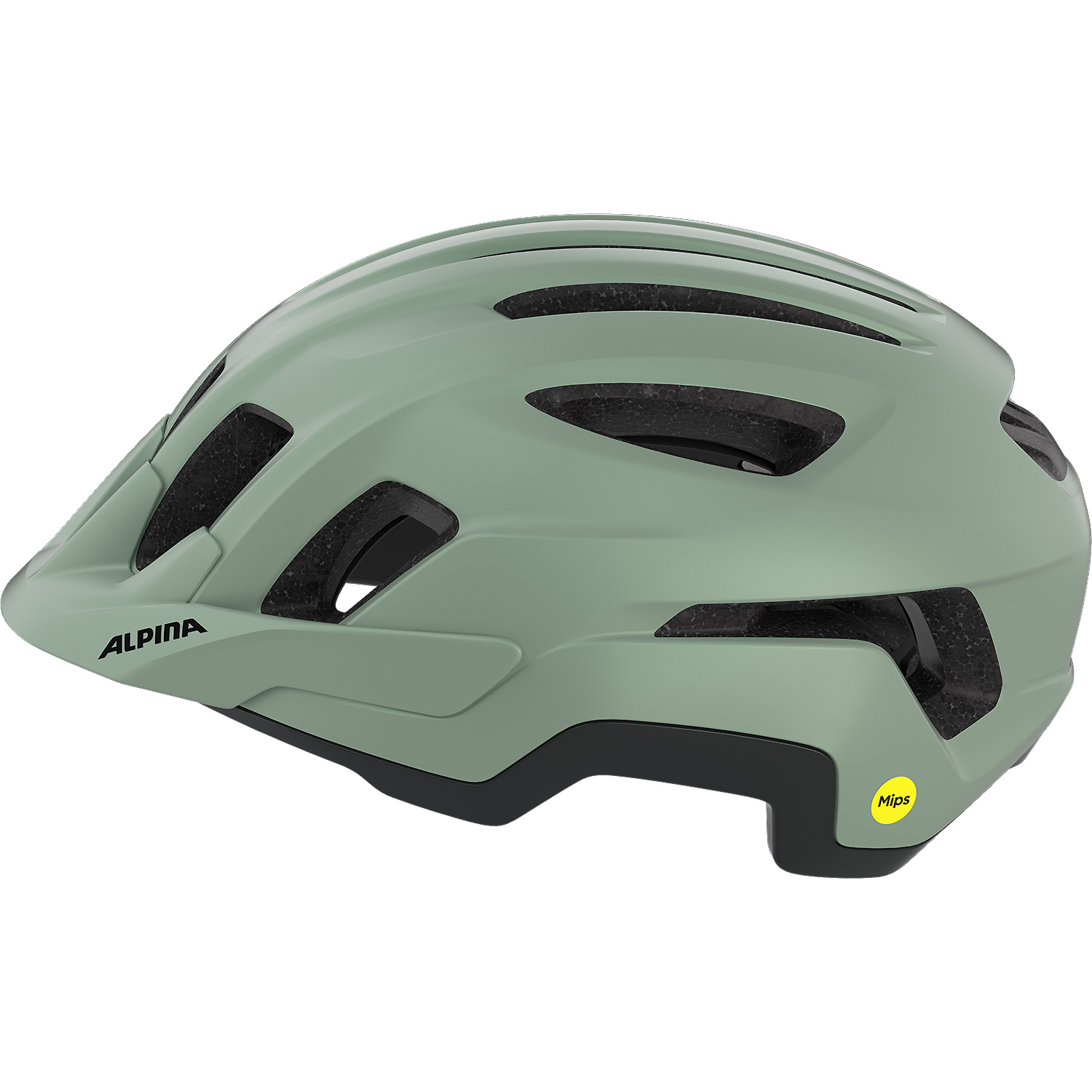 Unisex Alpina Sports Grün