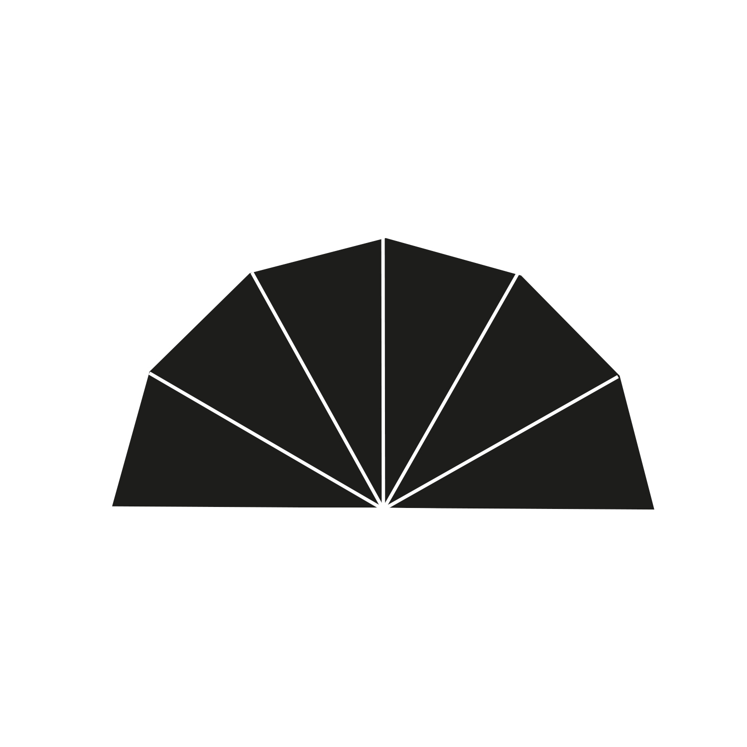 Unisex Tortuga Schwarz