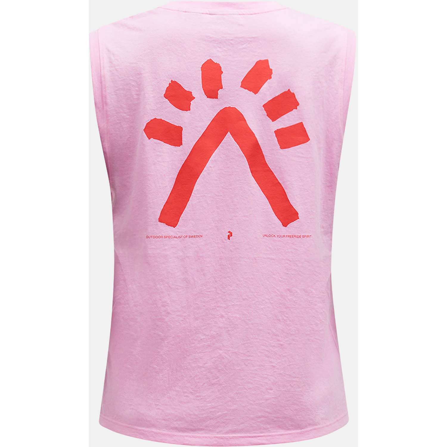 Damen Peak Performance wie abgebildet W Explore Graphic SL-MORNING DEW 000 S Shirt