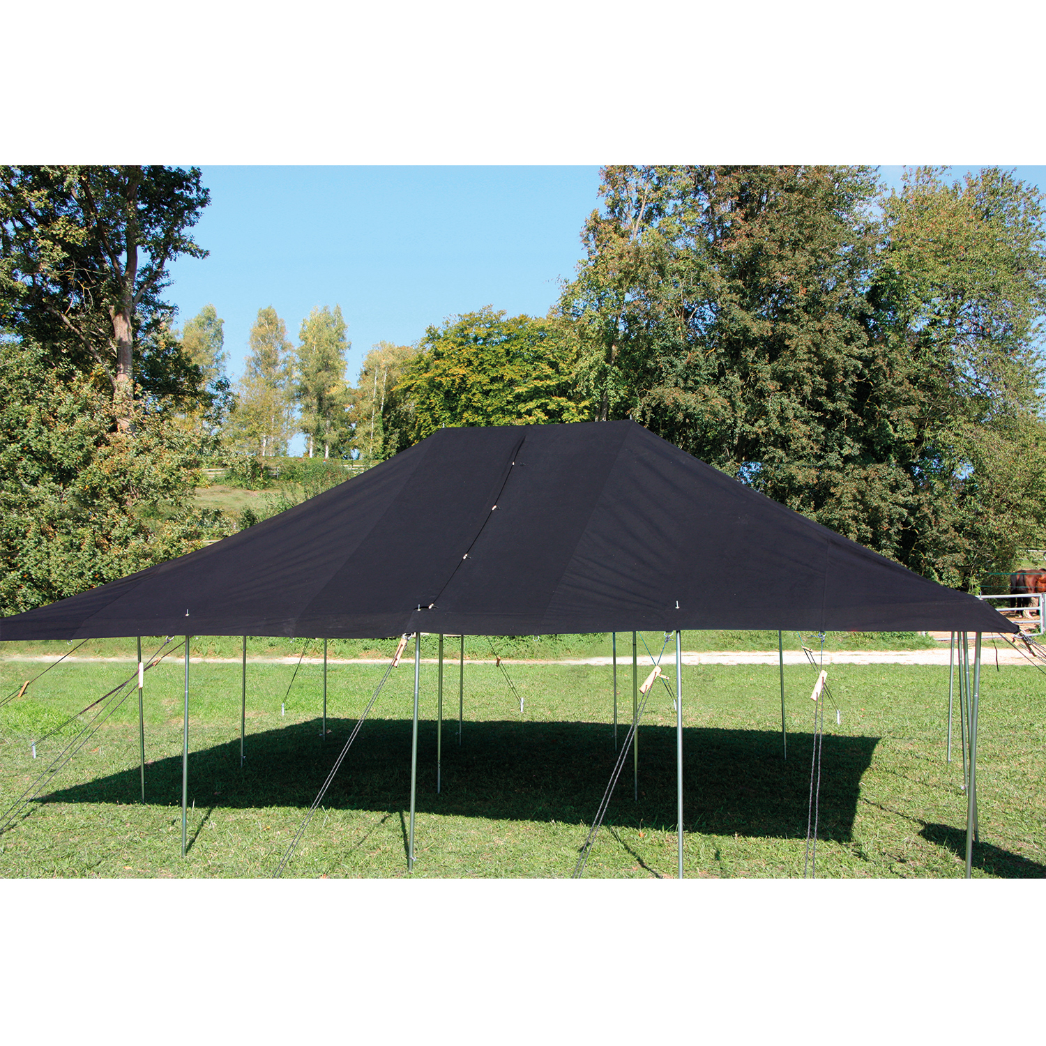 Unisex Tortuga Schwarz