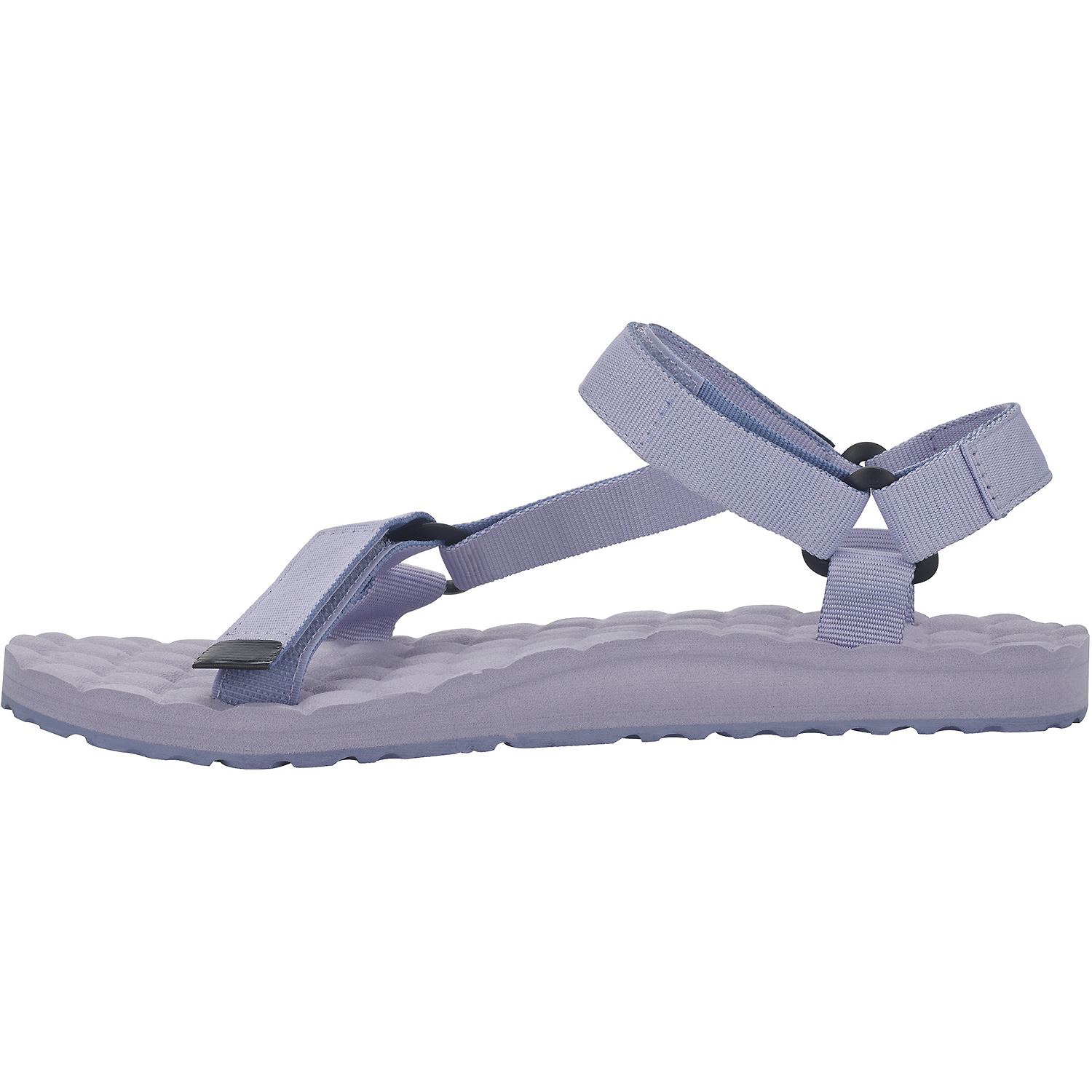 Unisex Lizard Royalblau