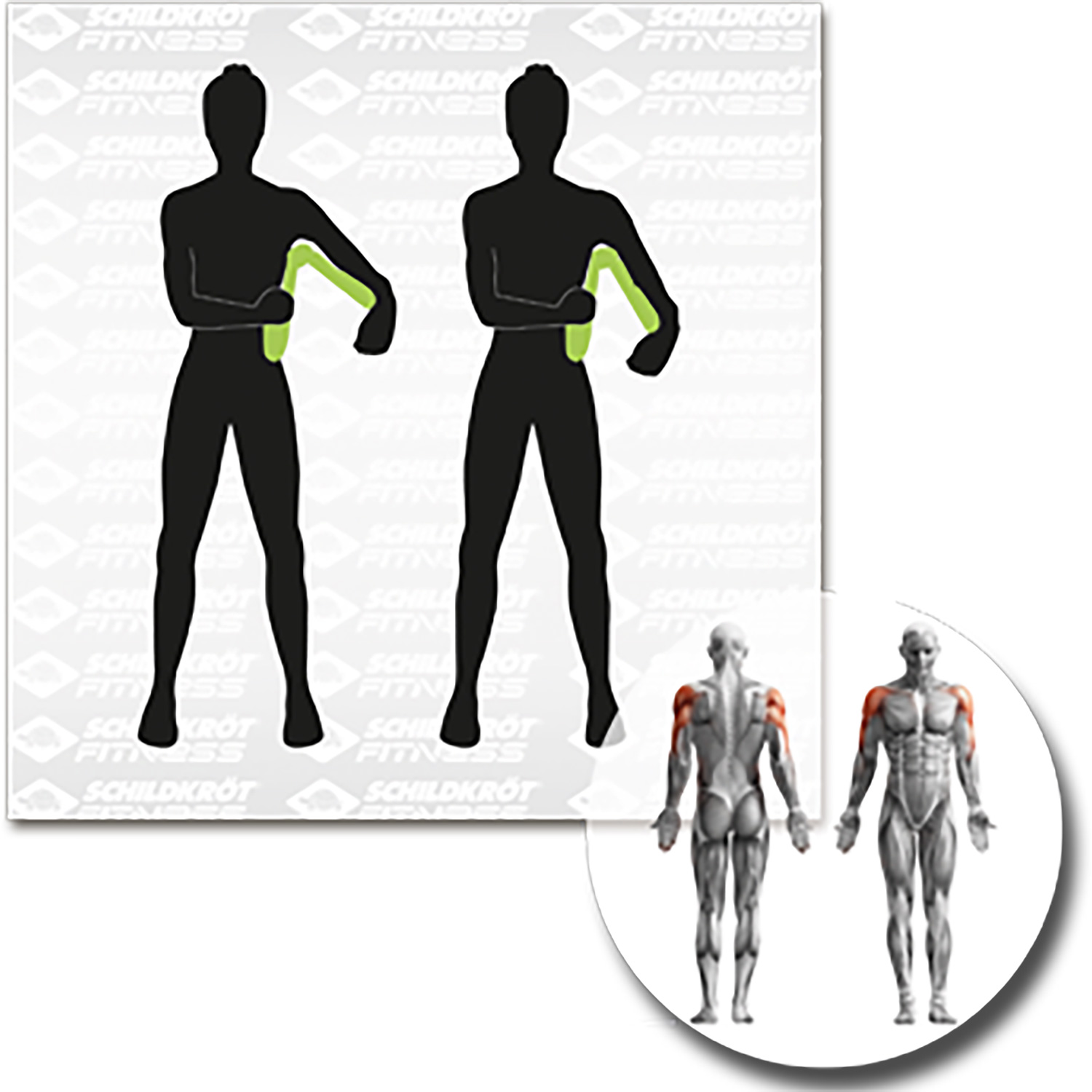 Unisex Schildkröt FITNESS wie abgebildet LEG-TRAINER - Oberschenkeltrainer, in 4C-Box, M-2022 000 - Fitnessgerät
