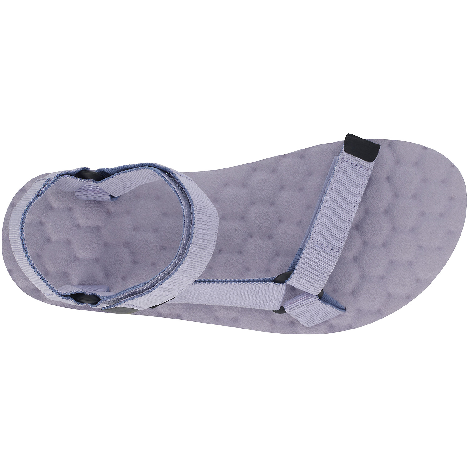 Unisex Lizard Royalblau