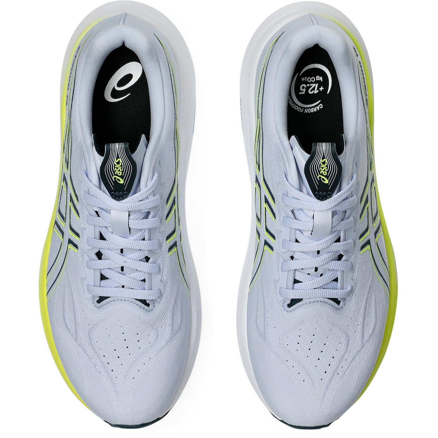 Herren Asics Royal Blau