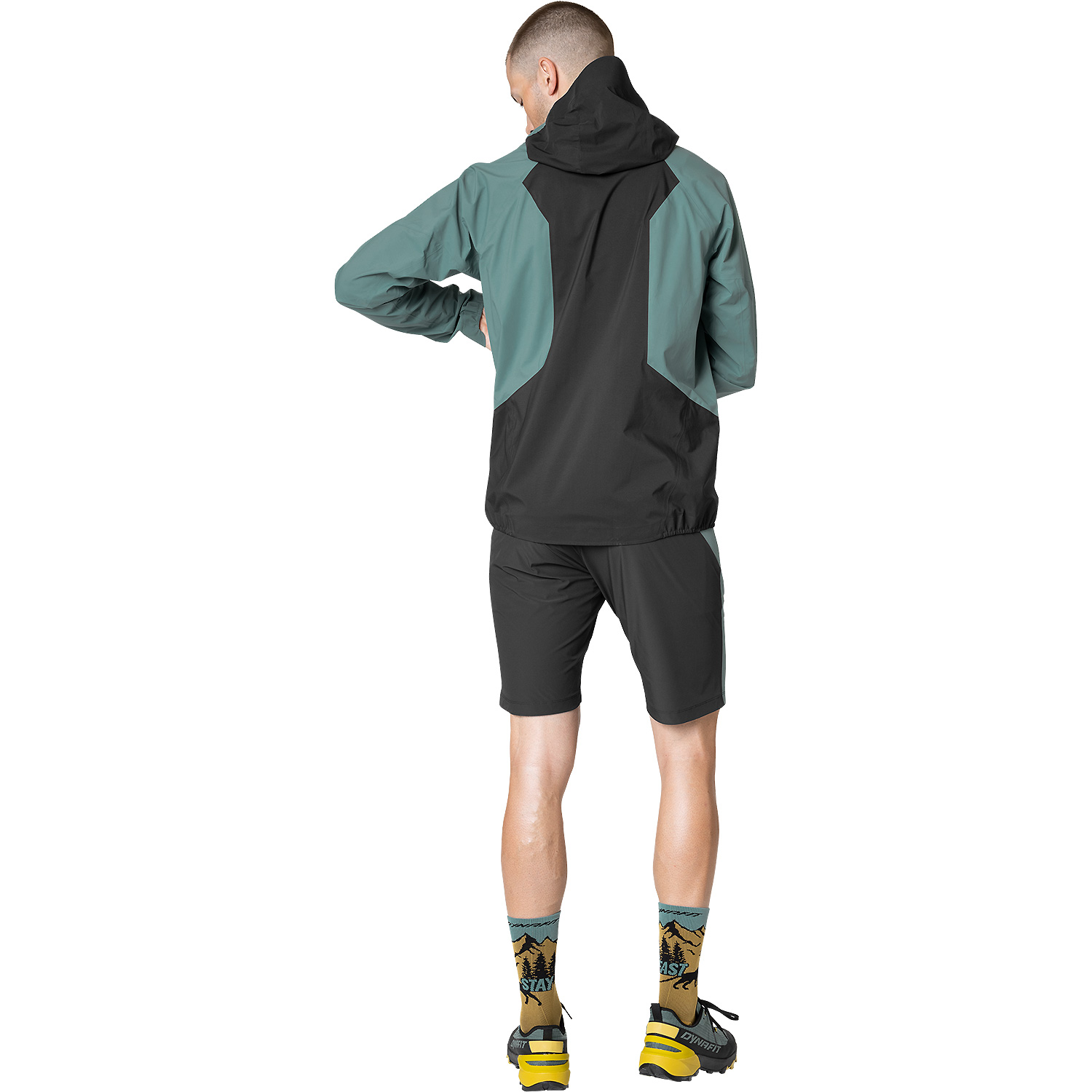 Herren Dynafit Blau