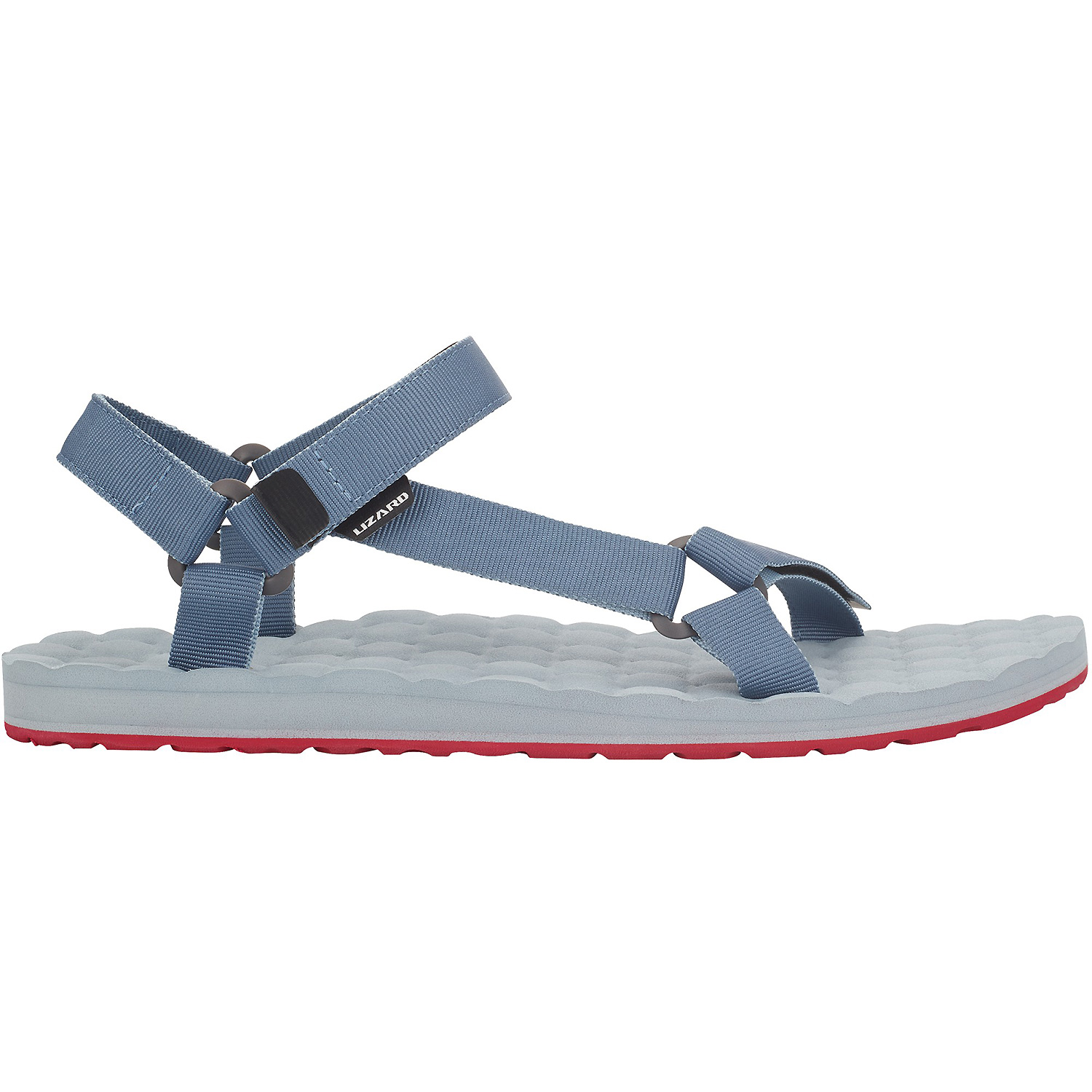 Unisex Lizard Blau