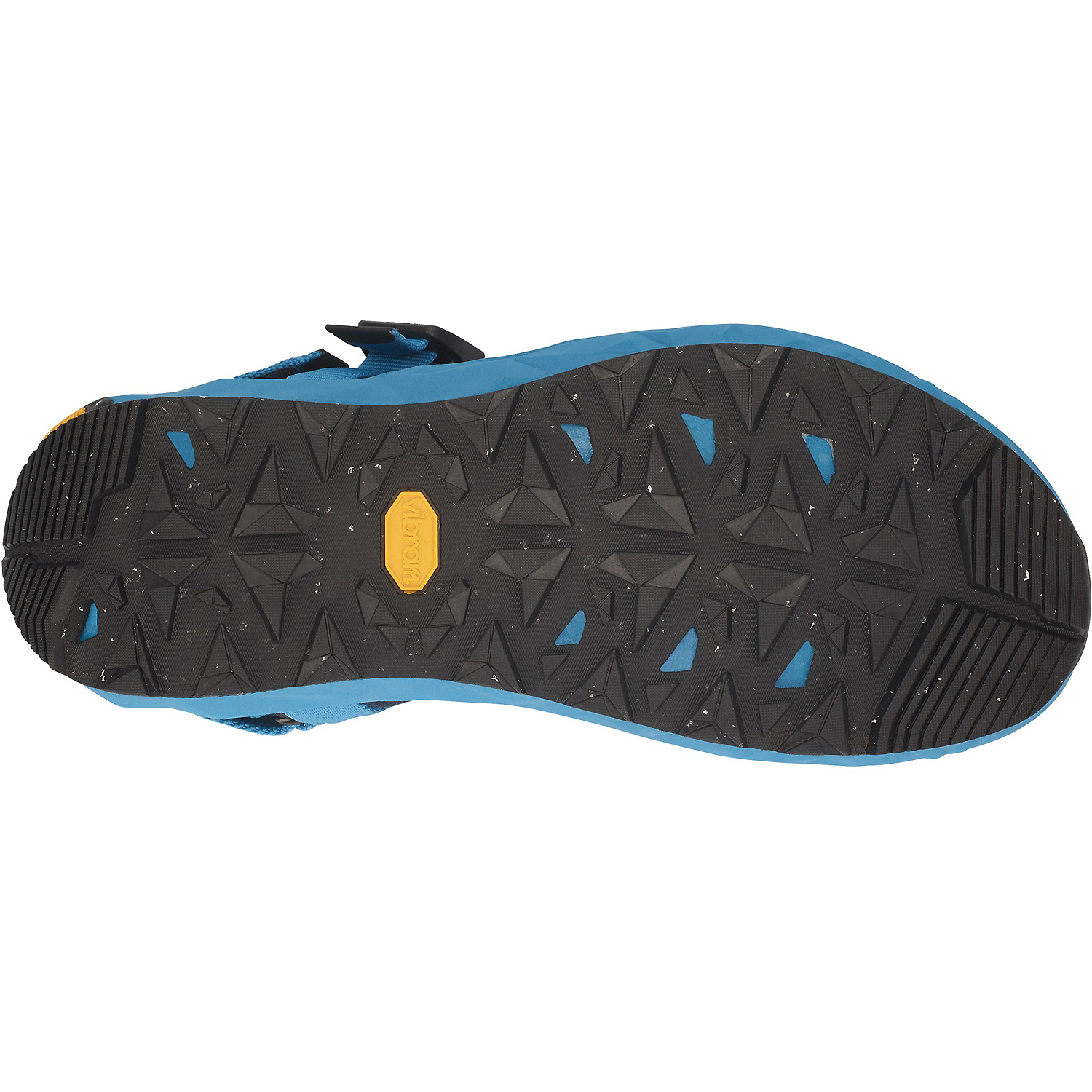 Herren Lizard Blau
