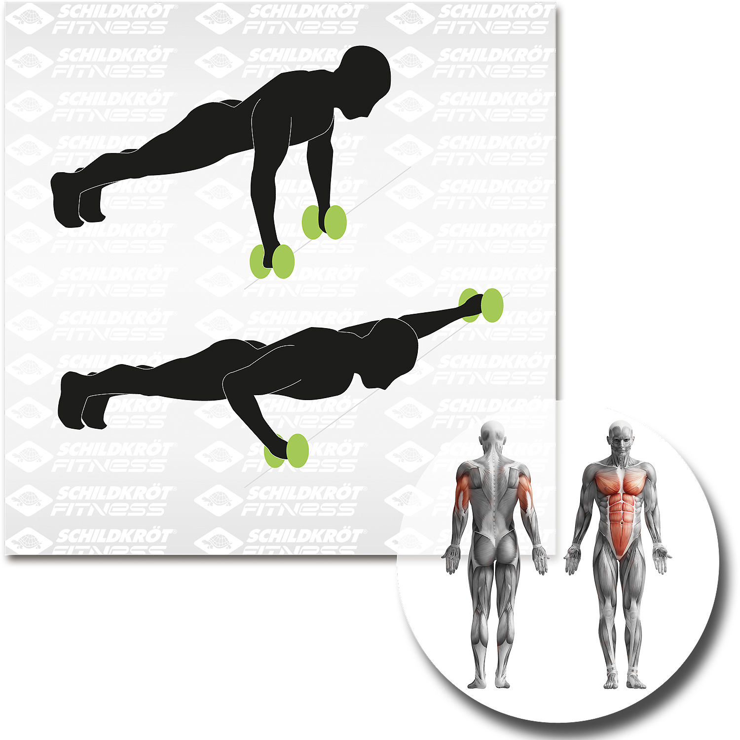 Unisex Schildkröt FITNESS wie abgebildet DUAL-CORE-WHEELS - 2er Set, kugelgelagert 000 - Fitnessgerät