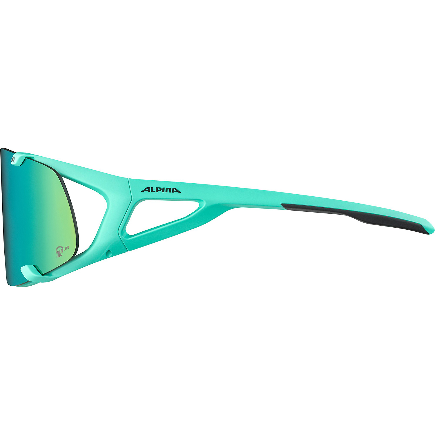 Unisex Alpina Sports Grün HAWKEYE S Q-LITE 71 - Brille