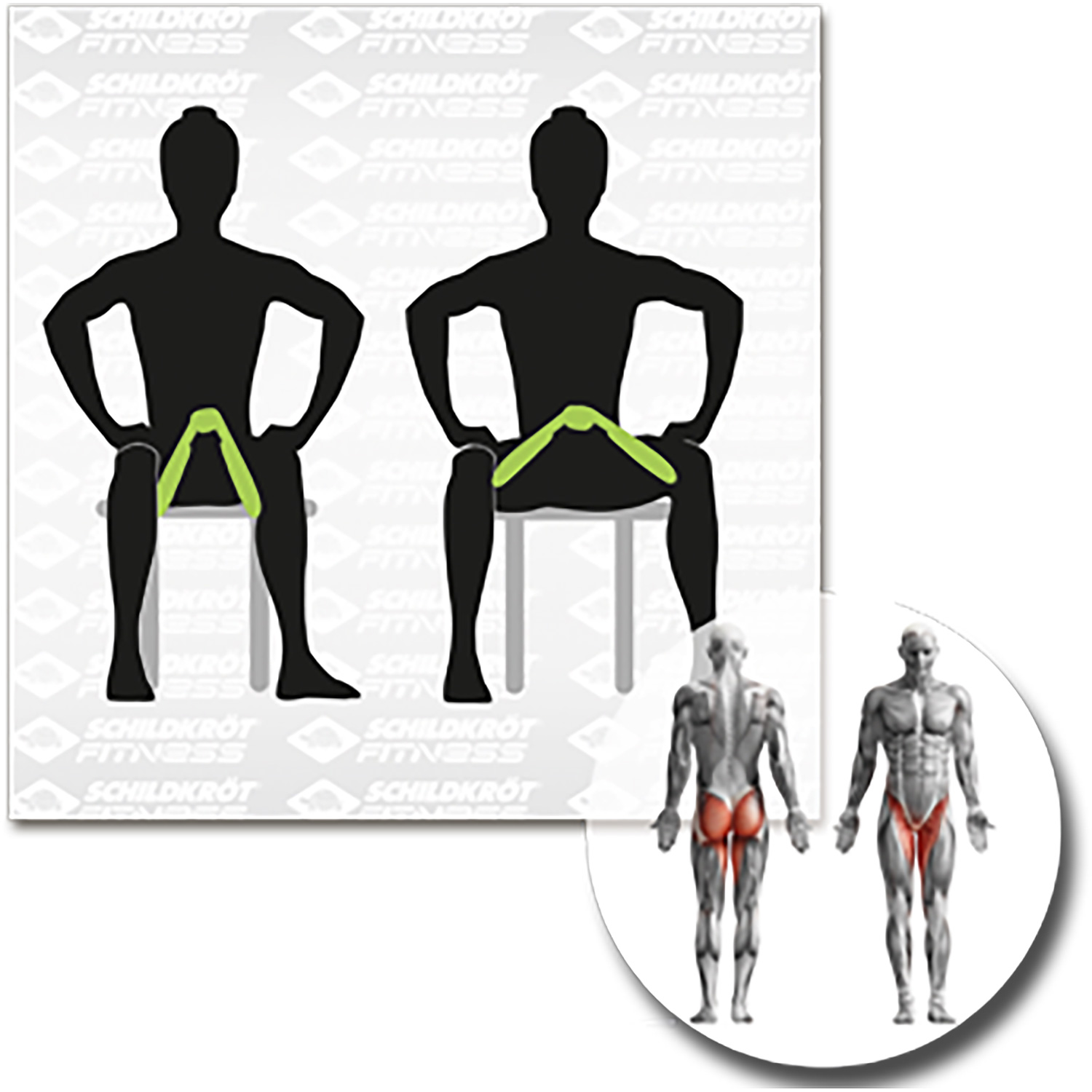 Unisex Schildkröt FITNESS wie abgebildet LEG-TRAINER - Oberschenkeltrainer, in 4C-Box, M-2022 000 - Fitnessgerät