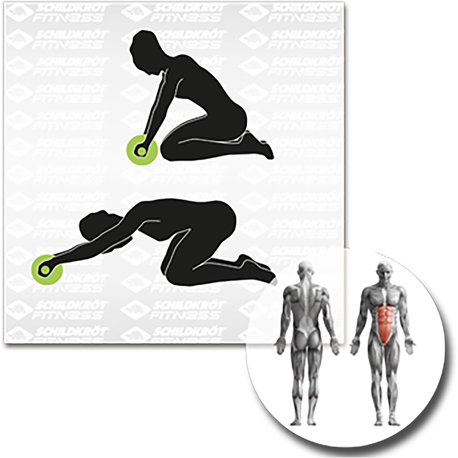 Unisex Schildkröt FITNESS wie abgebildet AB-ROLLER - Bauchtrainer, (Duo Wheel), 000 - Fitnessgerät