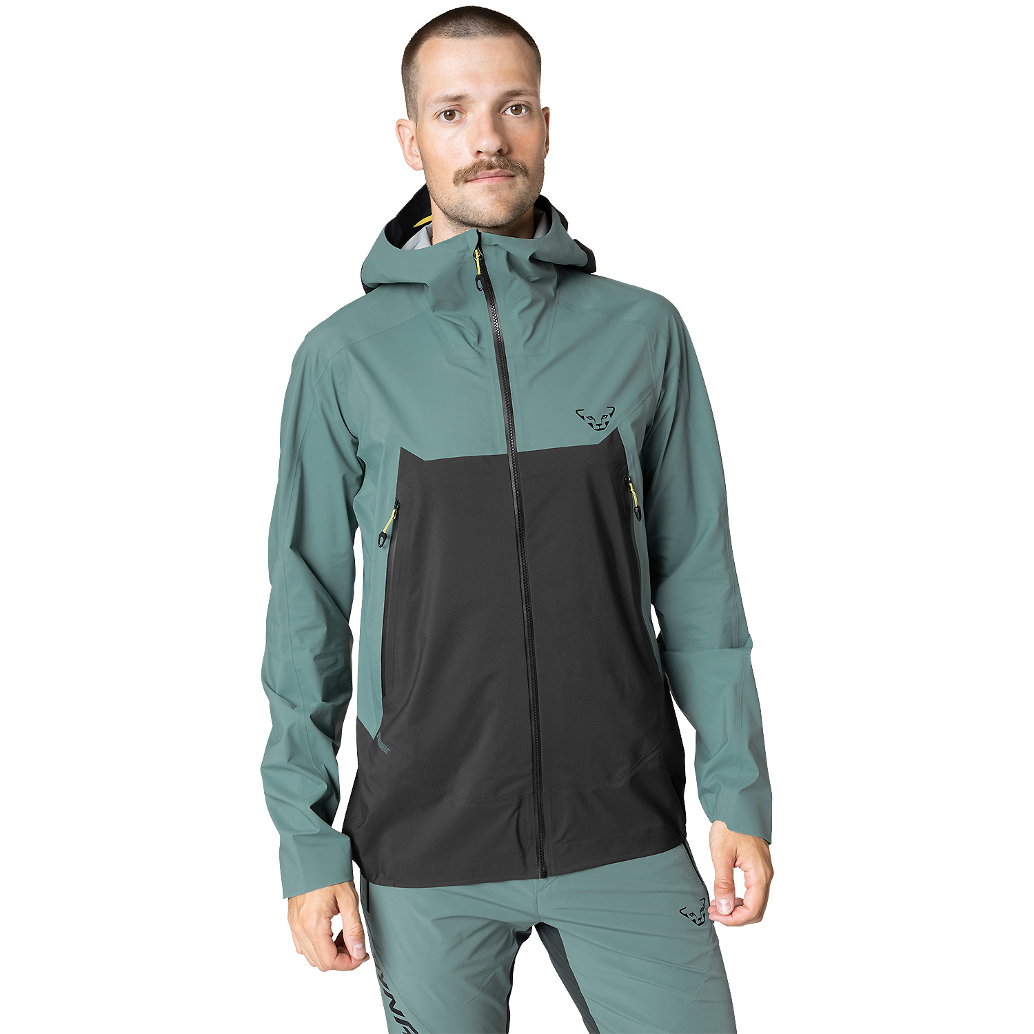 Herren Dynafit Blau