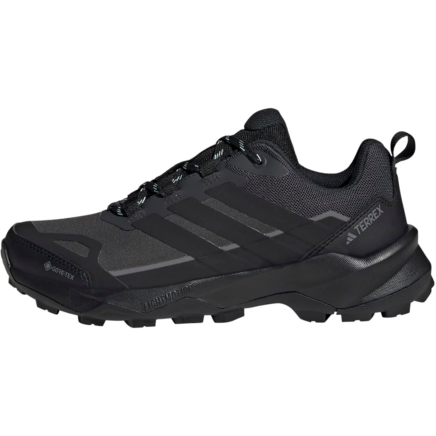 Damen Adidas wie abgebildet TERREX SKYCHASER AX5 GTX W Multifunktionsschuh