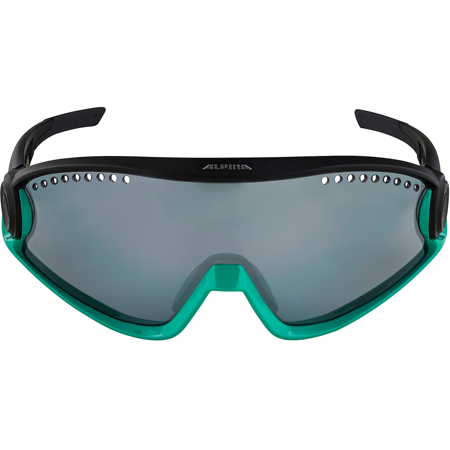 Unisex Alpina Sports Schwarz 5W1NG 371 - Brille