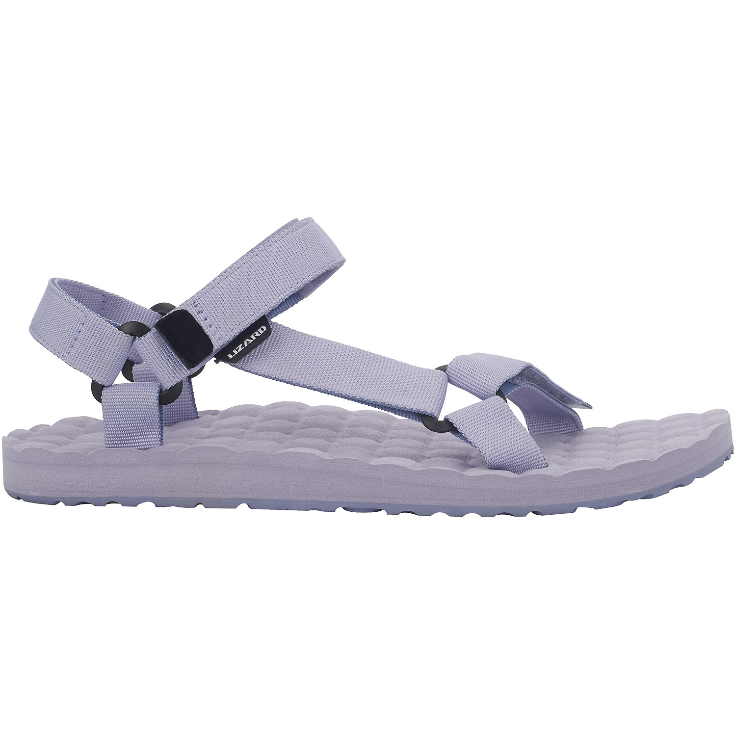 Unisex Lizard Royalblau