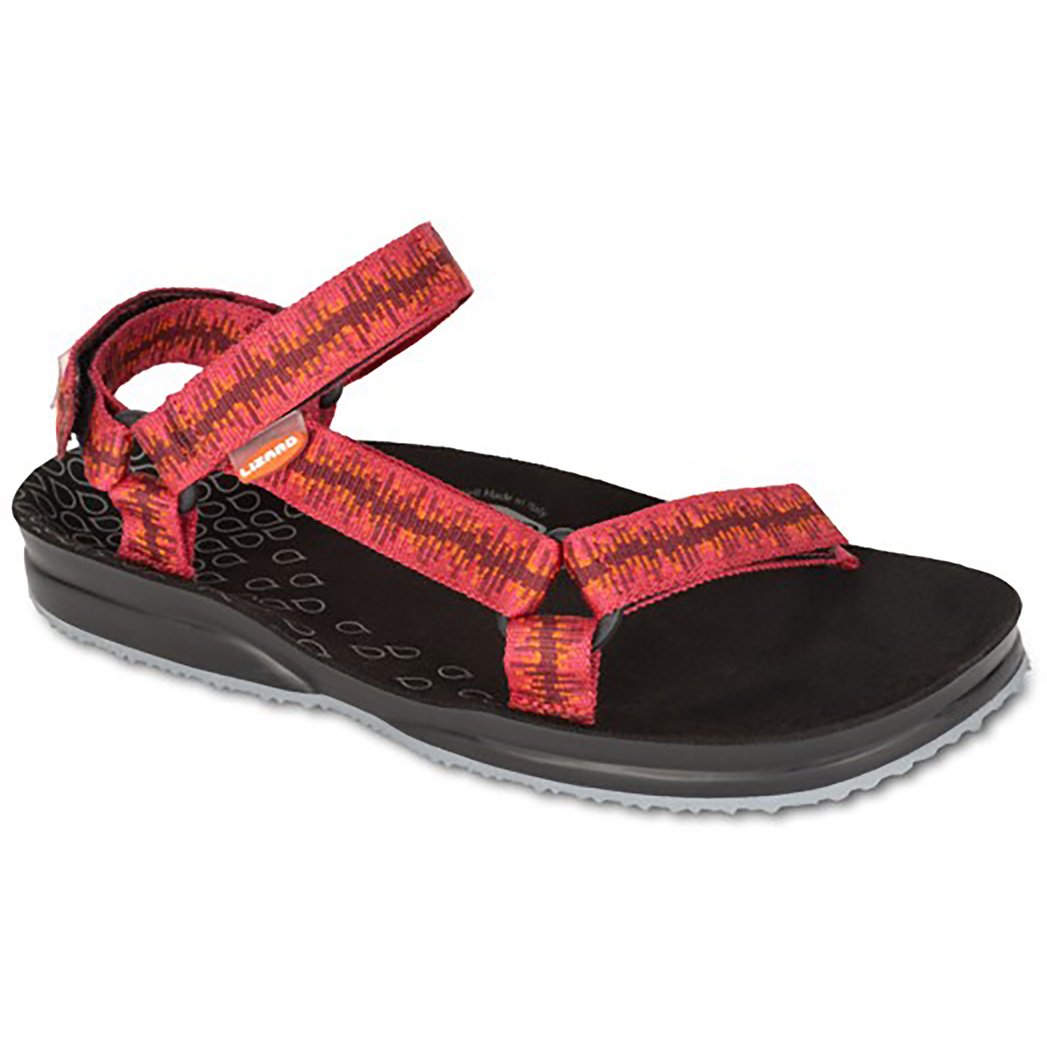 Unisex Lizard Rot