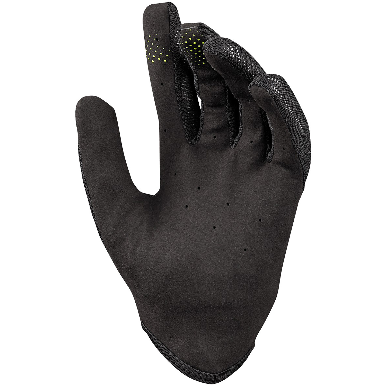 Unisex iXS Black
