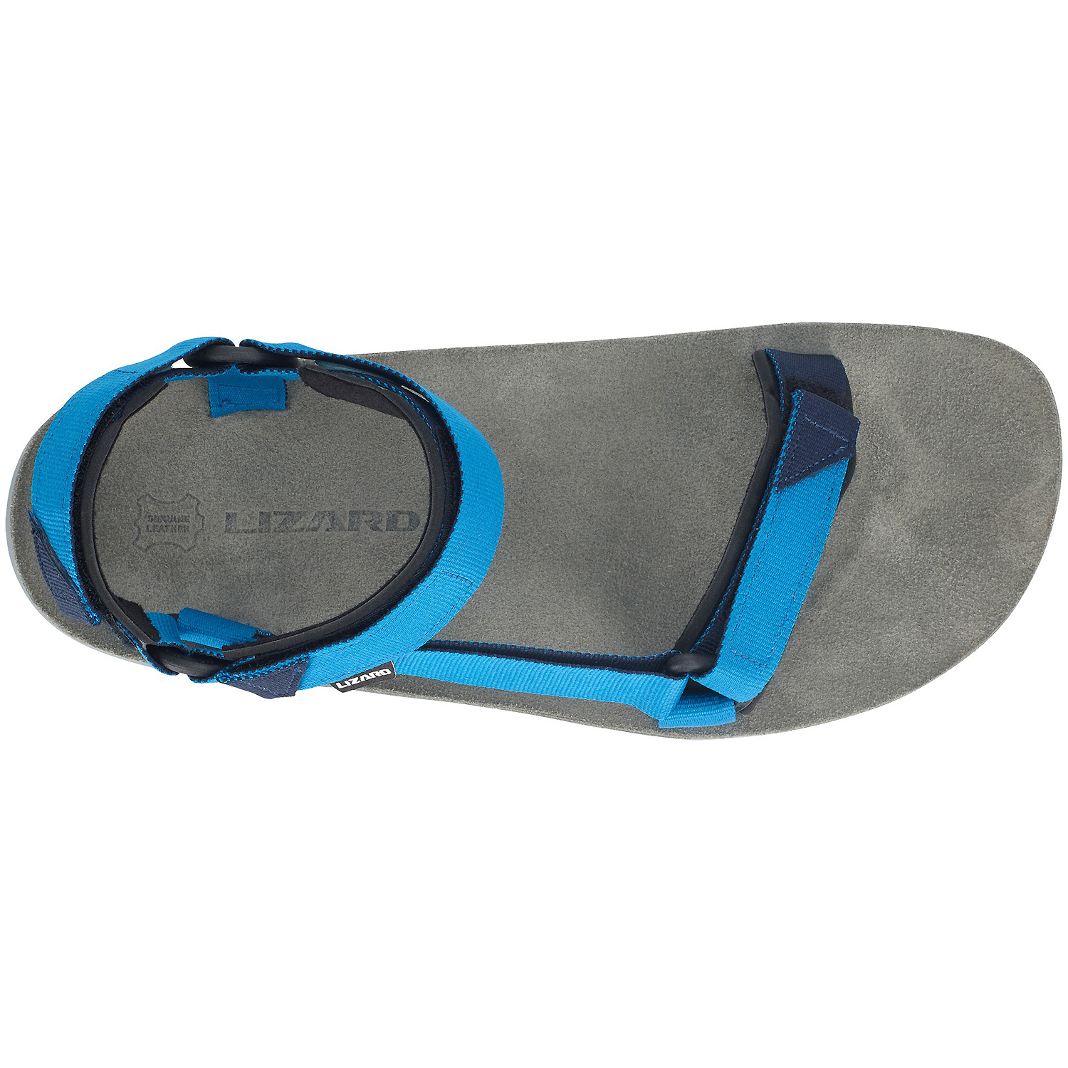 Herren Lizard Blau