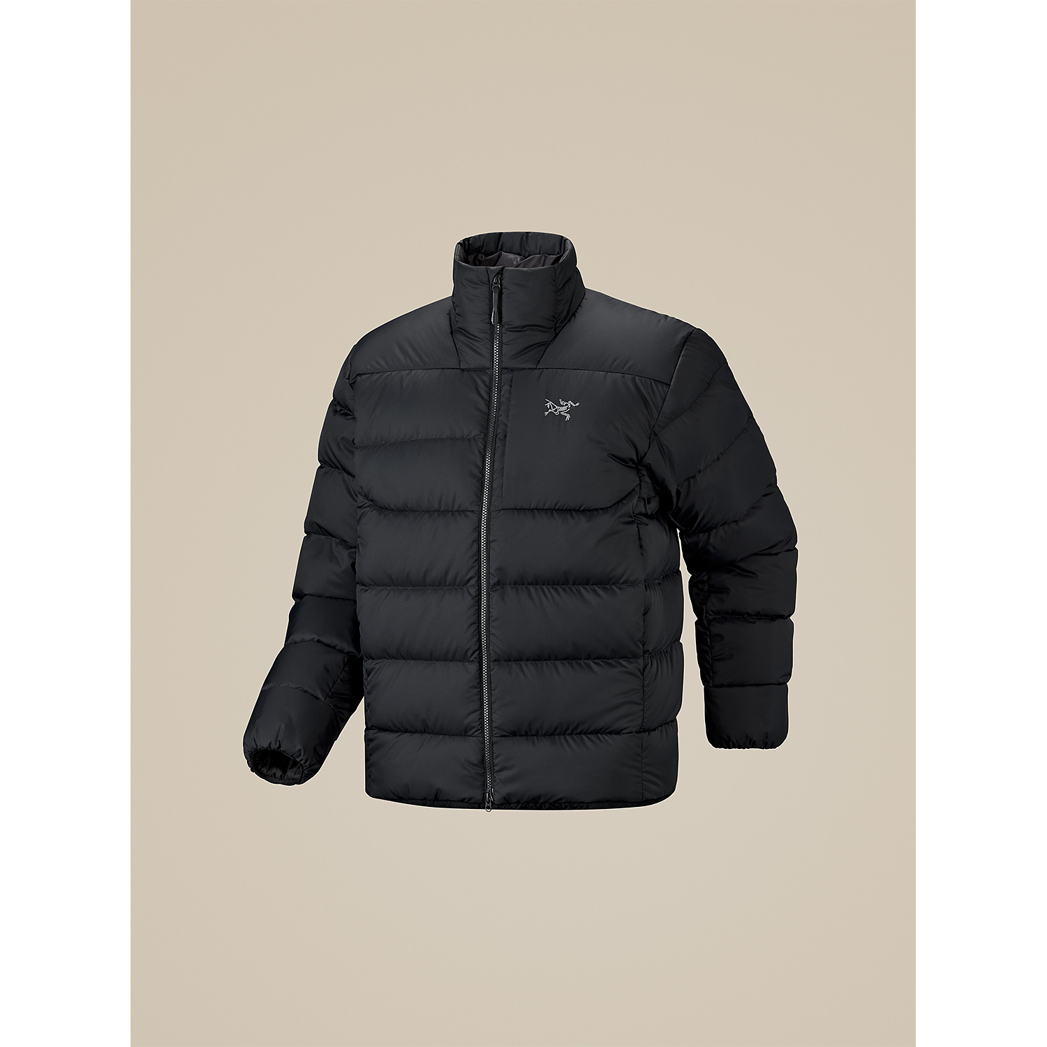 Herren Arcteryx Schwarz
