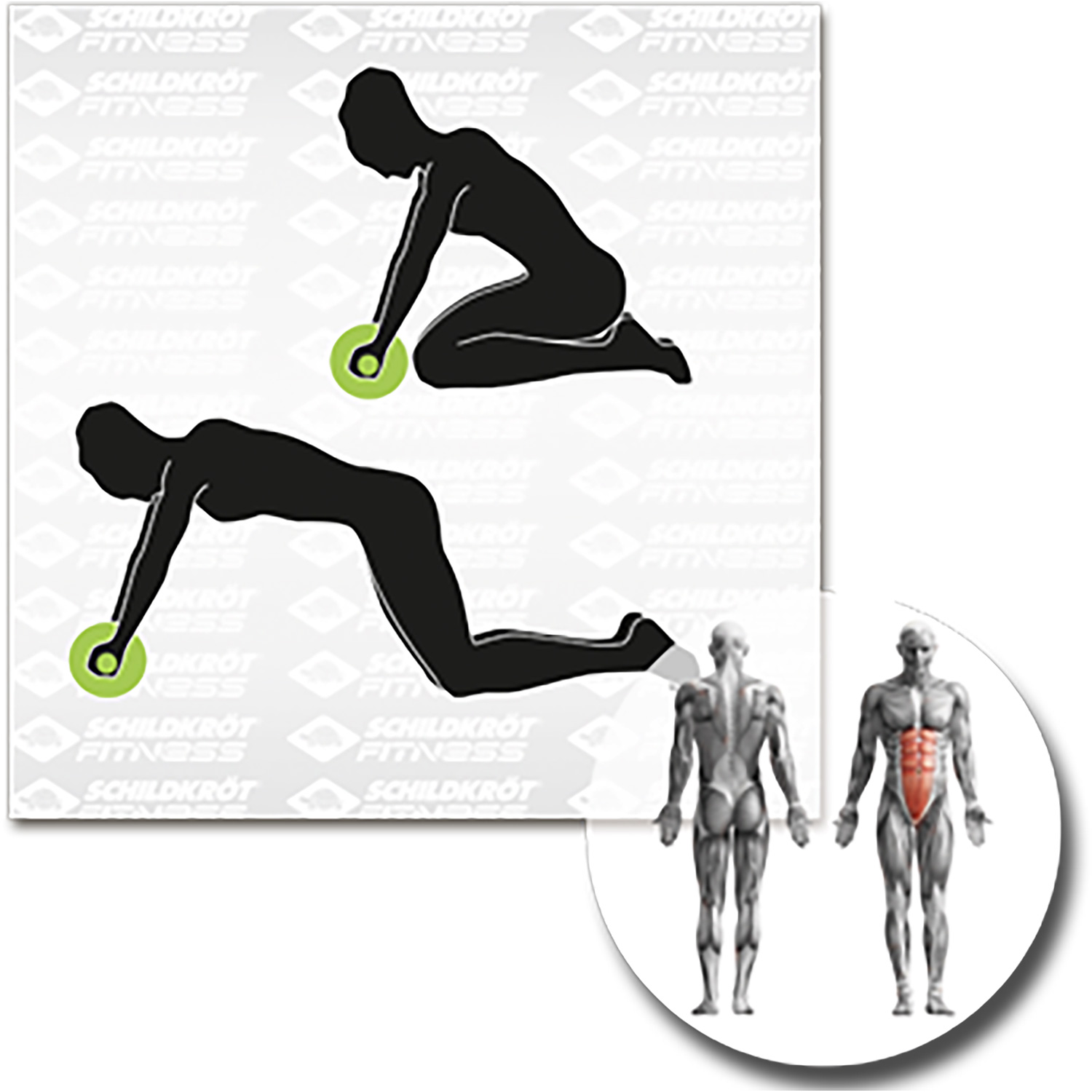 Unisex Schildkröt FITNESS wie abgebildet AB-ROLLER - Bauchtrainer, (Duo Wheel), 000 - Fitnessgerät