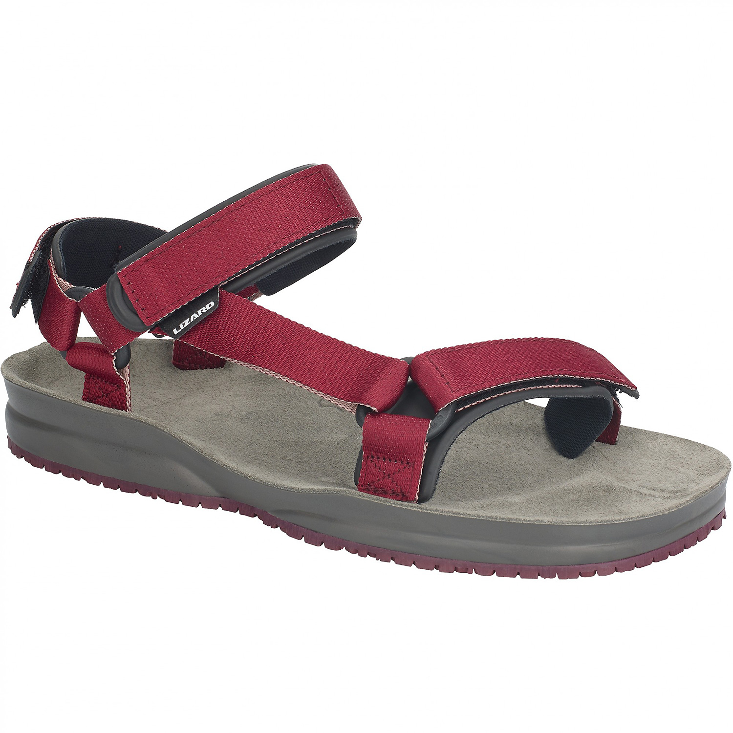 Unisex Lizard Rot