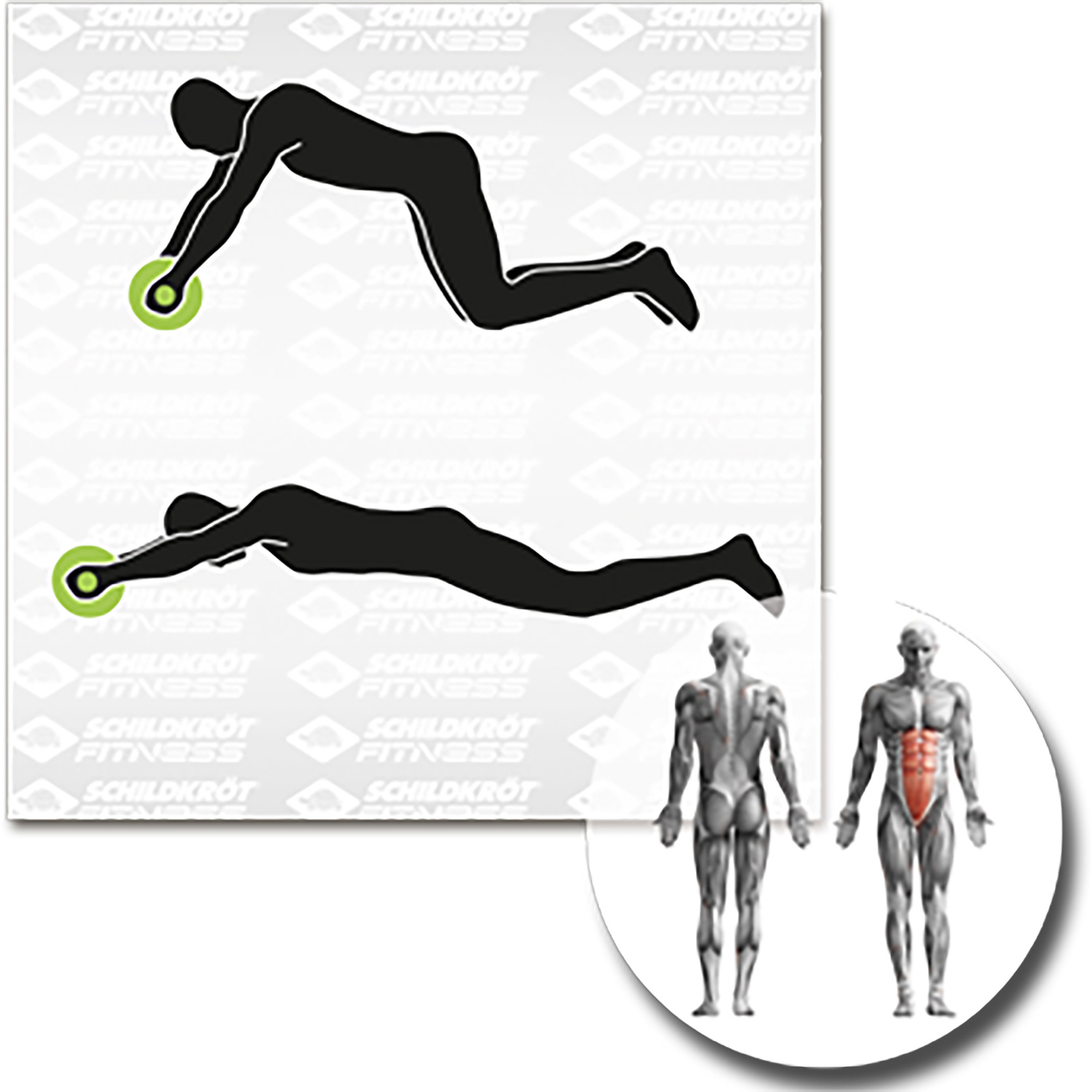 Unisex Schildkröt FITNESS wie abgebildet AB-ROLLER - Bauchtrainer, (Duo Wheel), 000 - Fitnessgerät